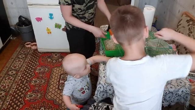 Запас продуктов не велик//что у меня в холодильнике//выбрала мастера по ремонту//карантин смотреть онлайн