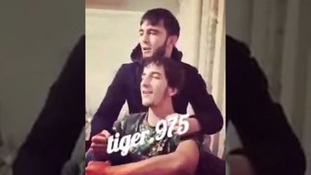 Чеченский эшар