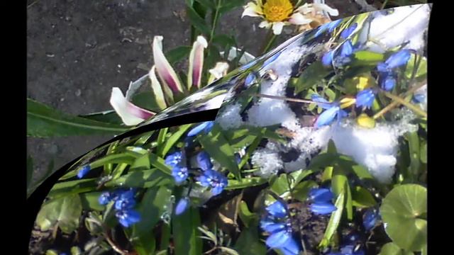 Как сделать свою жизнь в браке более гармоничной смотреть онлайн