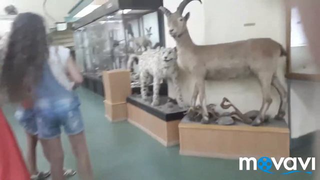 пауза челендж в музее)) смотреть онлайн