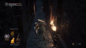 DARK SOULS 3 Прохождение за рыцаря #59 ● Золотое кольцо жадного змея, ведьма Карла и кусок титанита