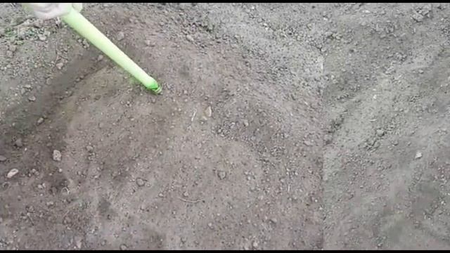 ЛУК ЧЕРНУШКА. Как правильно сажать лук чернушка. Лук севок из лука чернушки за один сезон. смотреть онлайн