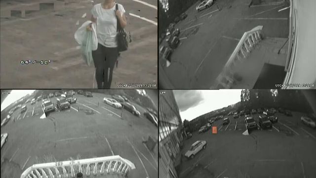 Купольная система автоматического слежения Трал Патруль 2IP смотреть онлайн