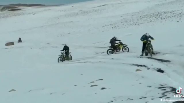 Шадни смотреть онлайн