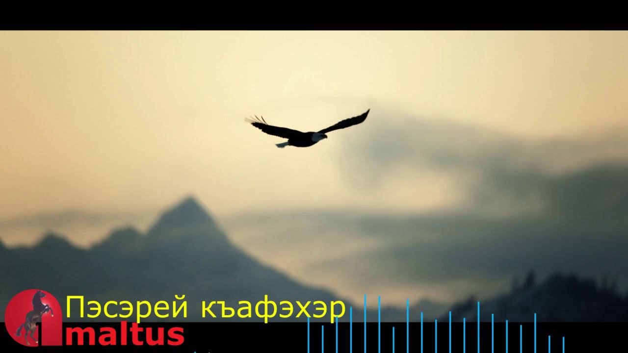 Пасэрей къафэхэр [Amaltus] смотреть онлайн