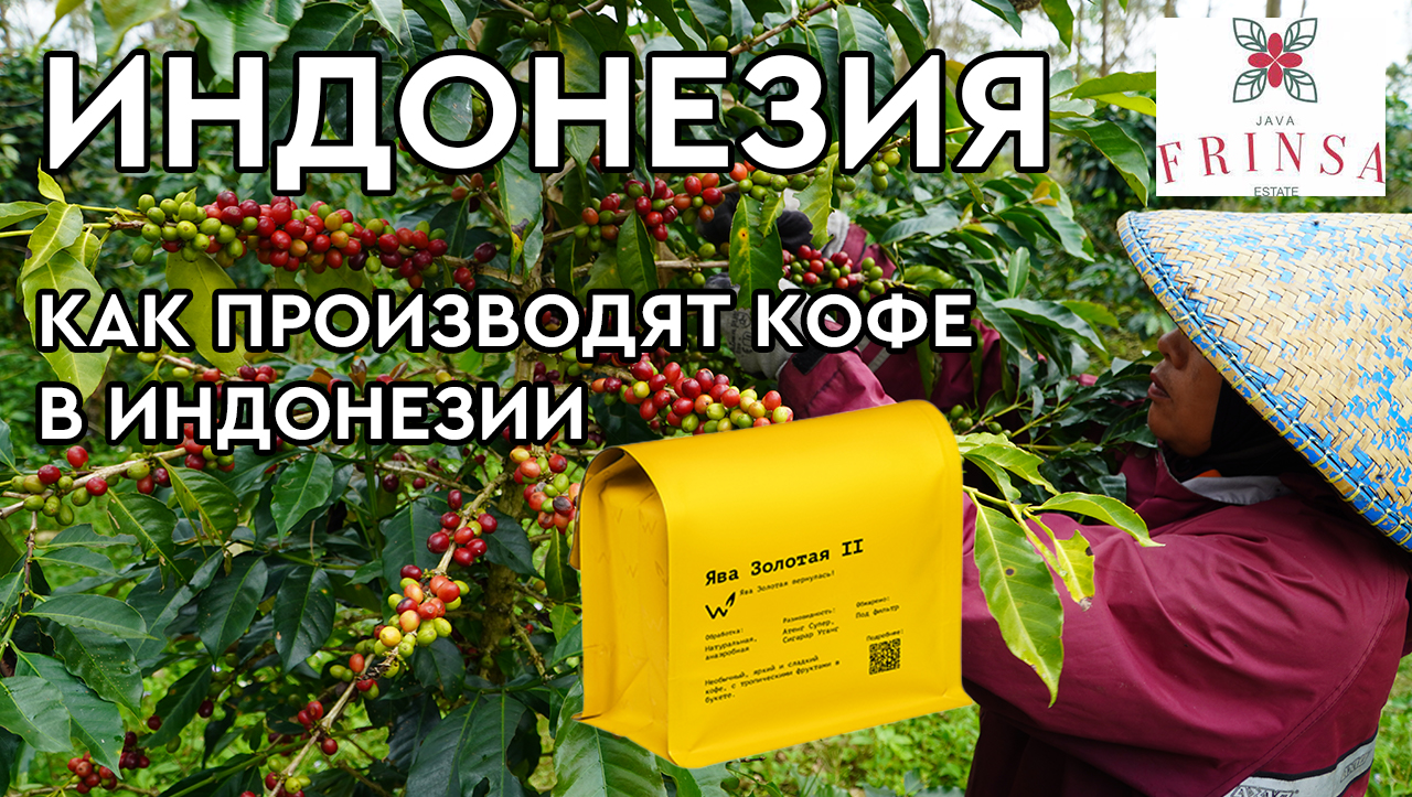  смотреть онлайн