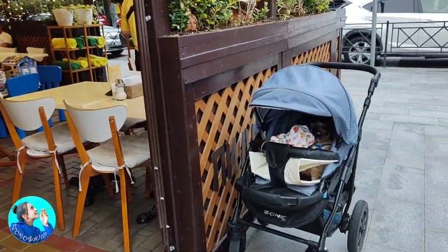 Скверы Сочи и обед с КОТОМ в кафе! Это возможно?