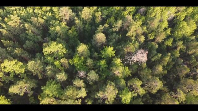 Огненный Олень смотреть онлайн