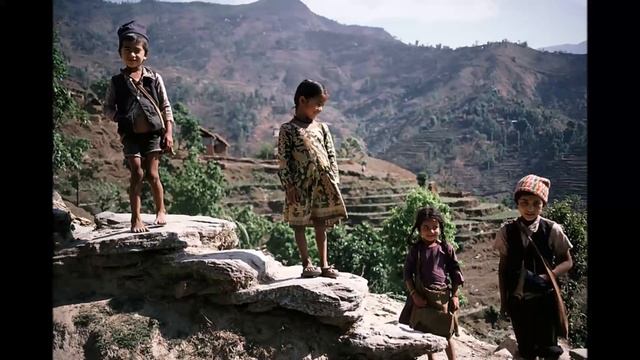 Narayan Gopal (स्वर सम्राट नारायण गोपाल) - Ma Ta Lali-Guras Bhayechhu म त लालीगुराँस भएछु смотреть онлайн