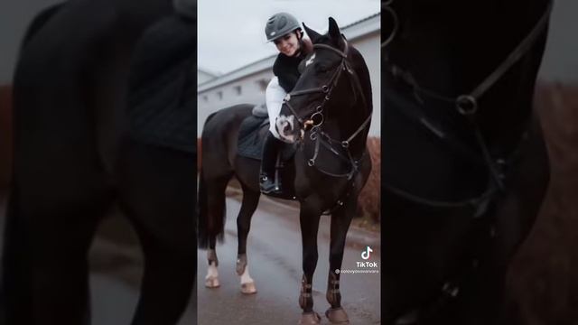 ребят любите лошадей)) #лошади #конный_спорт смотреть онлайн