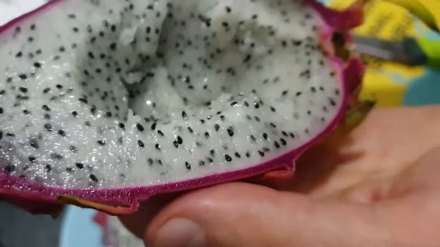 Экзотические фрукты в Стамбуле в сентябре: зизифус, инжир, драгон фрут, зеленые мандарины и фисташк смотреть онлайн