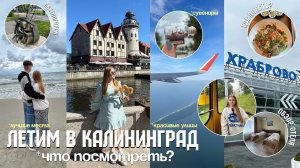 ВЛОГ ПЕРВЫЙ РАЗ В КАЛИНИНГРАДЕ 2024/Куда сходить в Калининграде/лучшие места/обзор отеля/СВЕТЛОГОРСК
