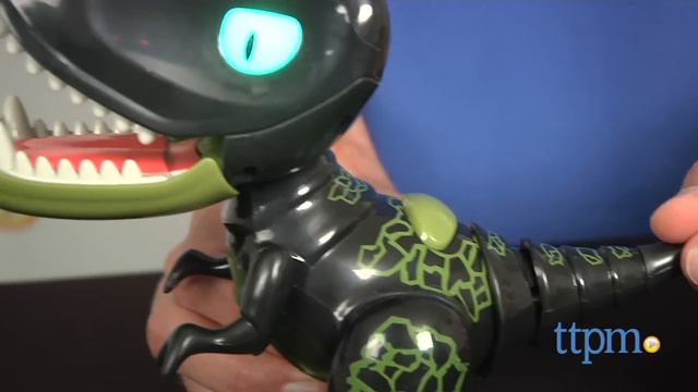 Zoomer Chomplingz Hyjinx & Z-Rex from Spin Master смотреть онлайн