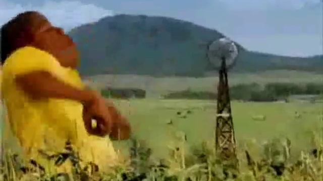 Cory In The House Music Video смотреть онлайн