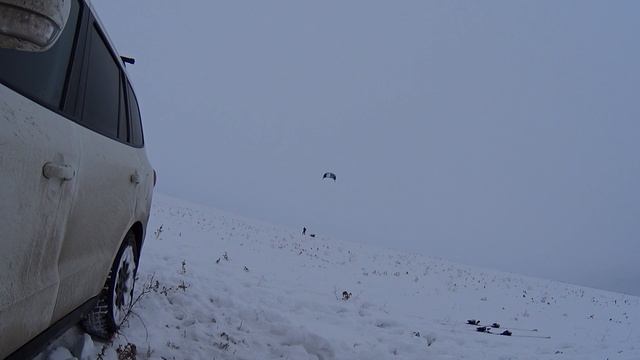 1 января 2017 г. катаемся на кайте!