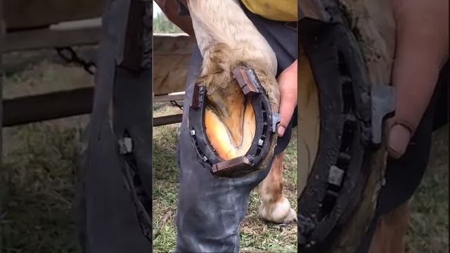 Замена запаски , Реальные кадры из жизни коня ! Едем за дровами , смотреть онлайн