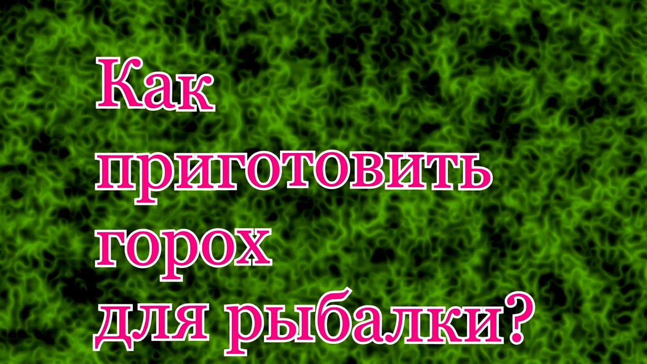 Как приготовить горох для рыбалки и насадить на крючок.mp4 смотреть онлайн