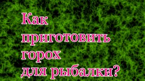 Как приготовить горох для рыбалки и насадить  на крючок.mp4