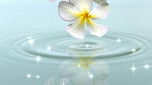 Футаж. Цветы над водой 10 смотреть онлайн