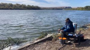 Рыбалка на реке Дон поздней осенью! Фидерная ловля | база Сомовье логово
