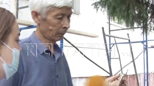 На набережной Федоровского неизвестные рабочие поливают деревья бетоном смотреть онлайн