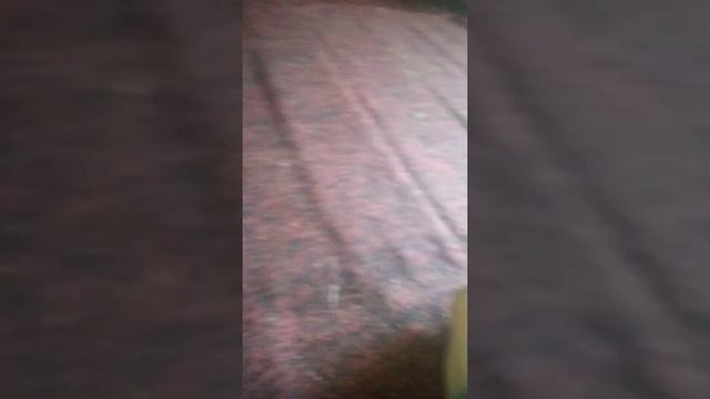 Обменялся на чарон бейби. смотреть онлайн