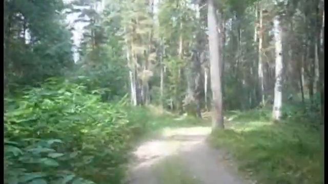 Необычные грибы . Сварил вилку смотреть онлайн