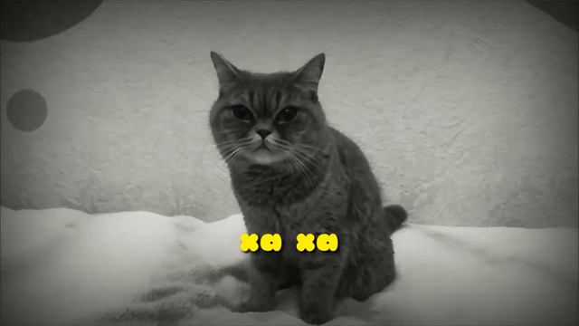 Темная комната В главных ролях ДЮКА и СИМА Виктория Астафьева смотреть онлайн