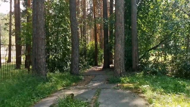 Черемушки Хакасия ЗАБЫТЫЙ РАЙ? Юг Сибири КУДА ИСЧЕЗАЮТ ЛЮДИ? Лесные Таежные правды жизни смотреть онлайн