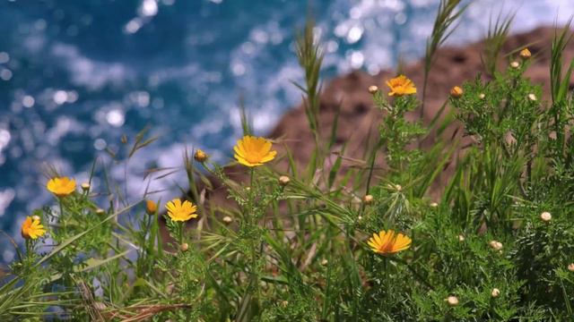 Beautiful piano music 🌊 Stress relief music 🌈 Relaxing sleep music - Sleep meditation смотреть онлайн