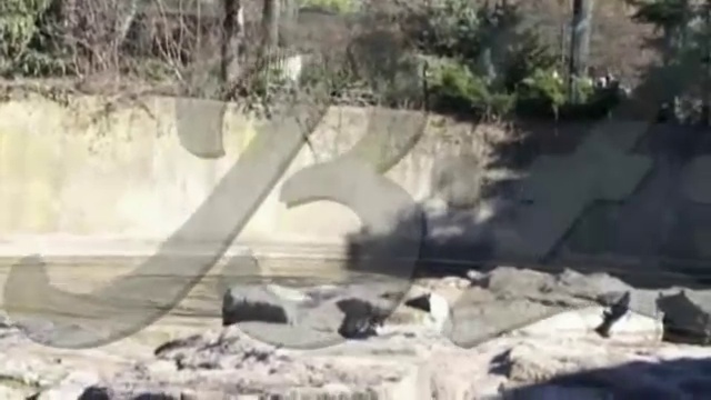 Les derniers instants de Knut смотреть онлайн