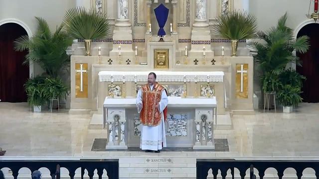 Palm Sunday of the Passion of the Lord (VigilMass) 3.24.24 смотреть онлайн