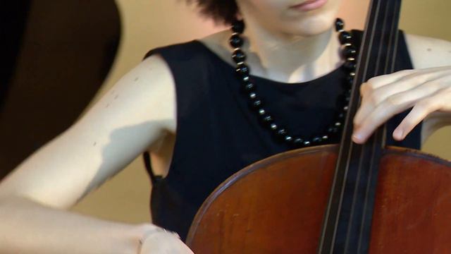Joseph Haydn - Cello Concerto No.1 in C major, Hob.VIIb:1, I. Moderato смотреть онлайн