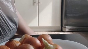 Зелёный лук на окне. Посадка тремя способами. Выбираем лучший из них. Посадка в грунт и в опилки