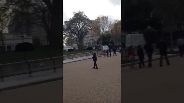 Прогулка у белого дома в США смотреть онлайн