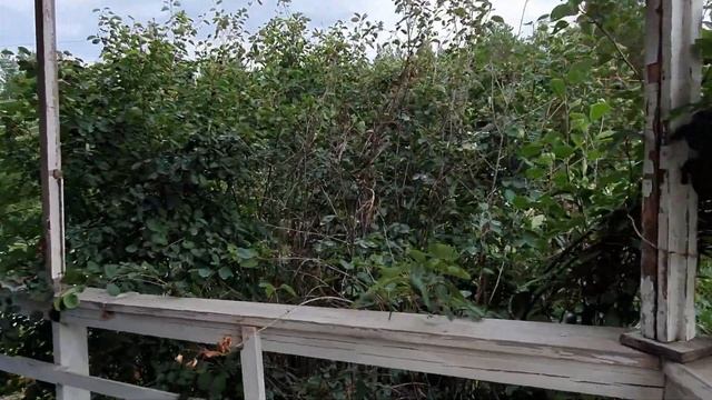 ДАЧА / ИНЖЕНЕР ПОСТРОИЛ ДАЧУ СВОЕЙ МЕЧТЫ / ЧУДО-ДАЧА смотреть онлайн
