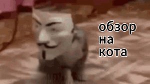 кот из преисподнеи