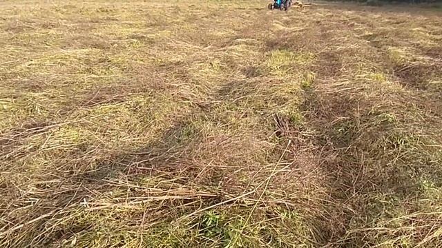 Ворошение сена!!! сезон 2021 смотреть онлайн