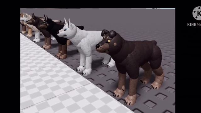 RIP LEUCITIC DOBERMAN FROM GENERIC WOLF RP GAME смотреть онлайн