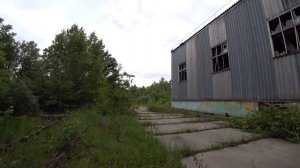 Заброшенная Железная дорога. Эти поезда уже никогда отсюда не уедут. Вагоны заросшие деревьями