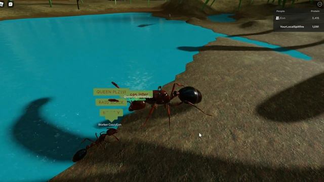 Types of Players in Ant Life Roblox смотреть онлайн
