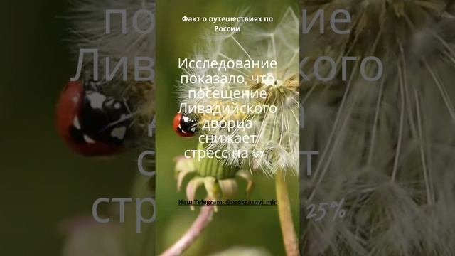 Факт о путешествиях по России смотреть онлайн