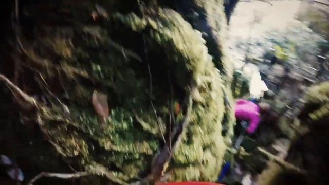 Auyan Tepui - Venezuela 2016