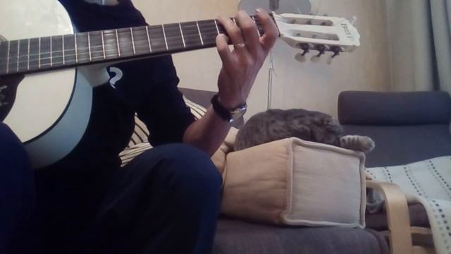 В. Пресняков, Зурбаган. Кавер на гитаре