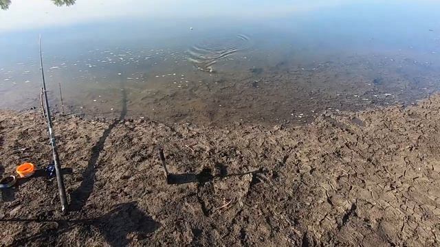 Приколы на рыбалке смотреть онлайн