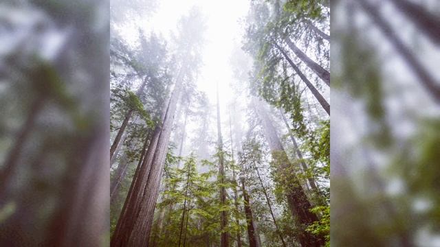 Нежная успокаивающая музыка для души релаксація звуки природи