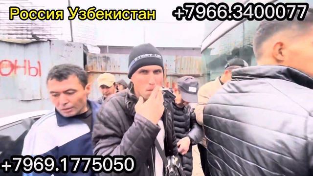 Москва Ташкент автобус Россия Узбекистан автобус