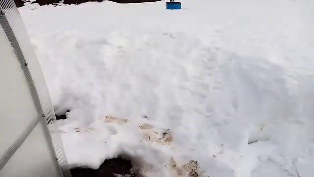 Снег в теплицу подготовка к высадке саженцев смотреть онлайн