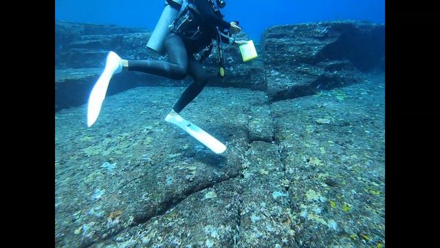 与那国島 海底遺跡 ダイビング 2019年8月 与那国ダイビングサービス