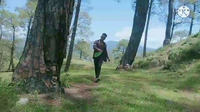 💖💖new song 2021 tero mero pyar Cho Pali Pali bar kumawani song💖💖 смотреть онлайн